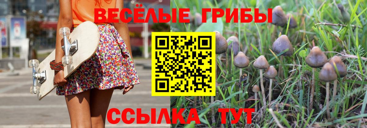 Галлюциногенные грибы прущие грибы Черногорск